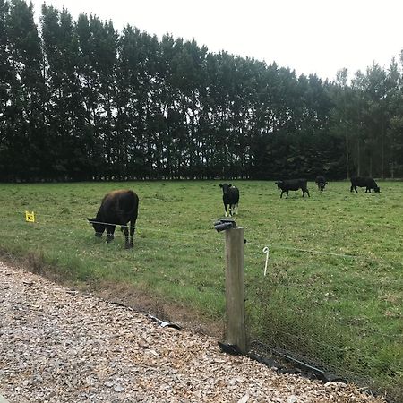 Brookside Country Escape 40 Minutes To Chc Airport Hotel Leeston Exterior foto